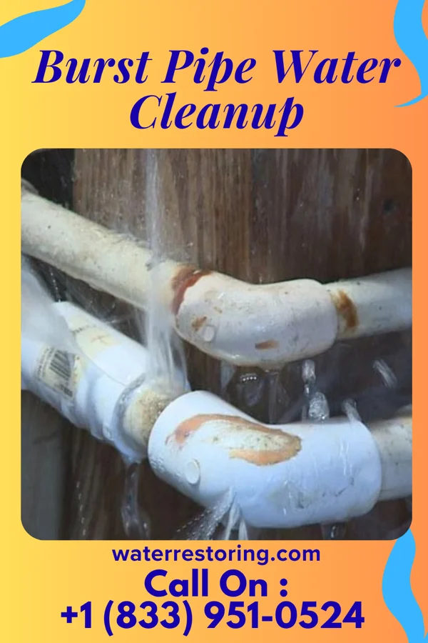 Burst Pipe Water Cleanup in New Hope, NC
