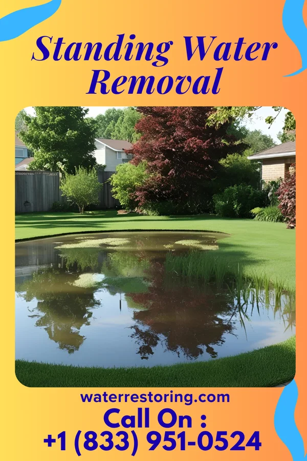 Standing Water Removal in New Hope, NC